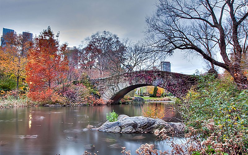 Perez v. City of New York